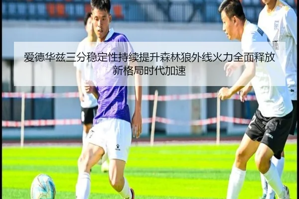 爱德华兹三分稳定性持续提升森林狼外线火力全面释放新格局时代加速